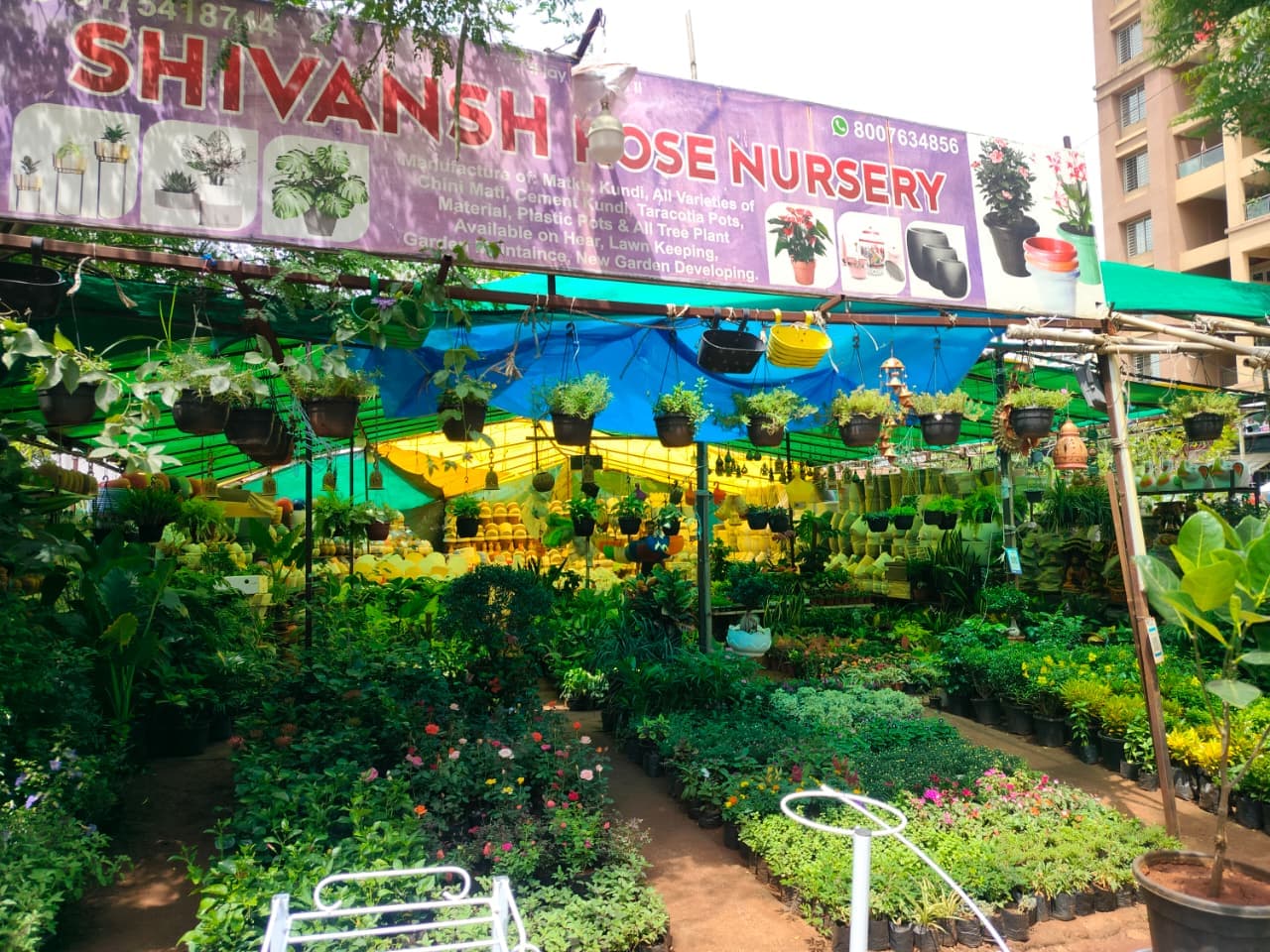 Shivansh Rose Nursery garden display
